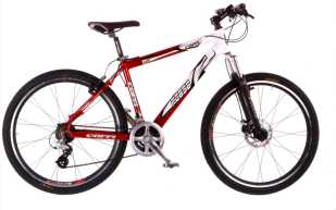 Mountain Bike Mountain Bike